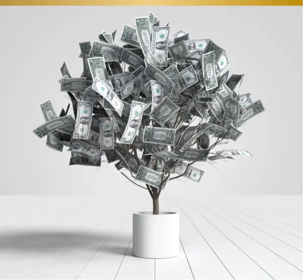 investissement dans l'apparence pour la carrière professionnel